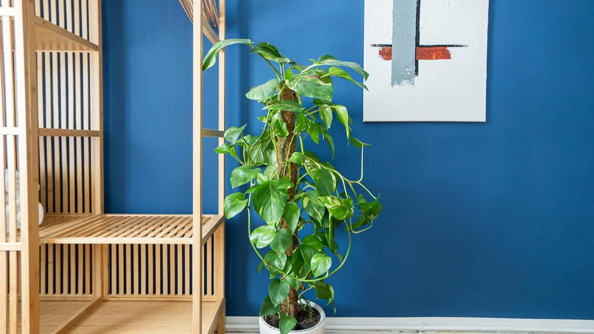 Pet-Friendly Modern Apartment Near Belvedere Vienna